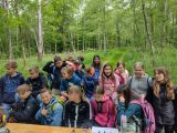 waldtag_bild_4