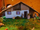 dscn5385