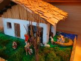 dscn5407