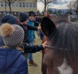 pony_2