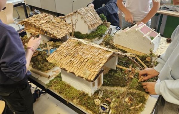 1000075709 1000075709