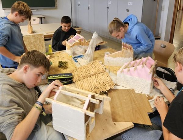 1000075719 1000075719