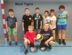 black_tigers